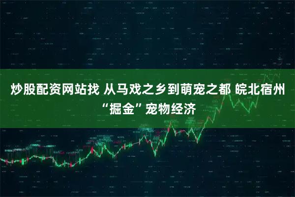 炒股配资网站找 从马戏之乡到萌宠之都 皖北宿州“掘金”宠物经济